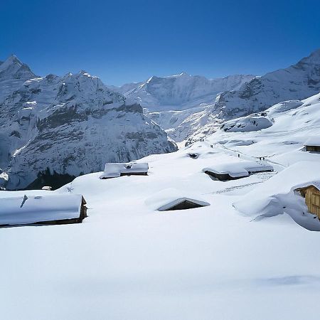 Apartment Chalet Jrene By Interhome Grindelwald Exterior foto